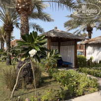 фото из отзыва ID 2743372