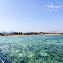 фото из отзыва ID 2743374