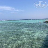 фото из отзыва ID 2743374