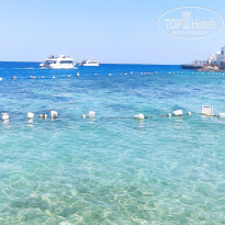 фото из отзыва ID 2743401