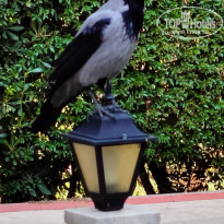 фото из отзыва ID 2743410