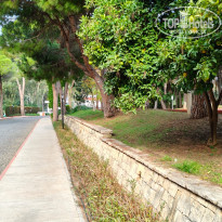 фото из отзыва ID 2743410