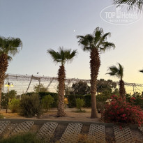 фото из отзыва ID 2743405