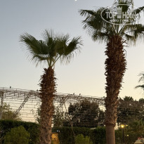 фото из отзыва ID 2743405