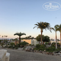 фото из отзыва ID 2743405