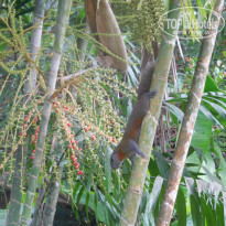 фото из отзыва ID 2743419