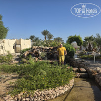 фото из отзыва ID 2743405