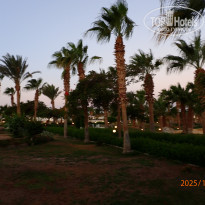 фото из отзыва ID 2743405