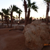 фото из отзыва ID 2743405