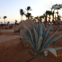 фото из отзыва ID 2743405