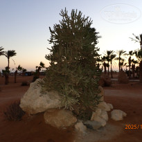 фото из отзыва ID 2743405