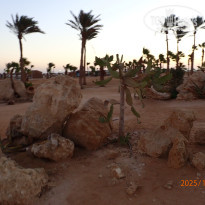 фото из отзыва ID 2743405