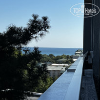 фото из отзыва ID 2743436