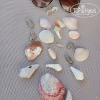 фото из отзыва ID 2743438