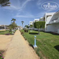 фото из отзыва ID 2743440