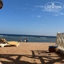 фото из отзыва ID 2743447