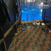 фото из отзыва ID 2743442