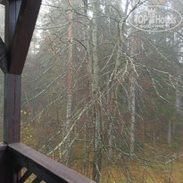 фото из отзыва ID 2743442