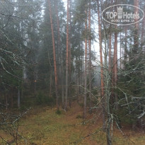 фото из отзыва ID 2743442