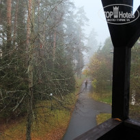 фото из отзыва ID 2743442