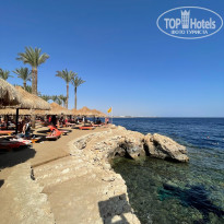 фото из отзыва ID 2743458