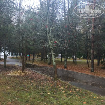 фото из отзыва ID 2743442