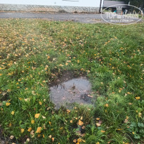 фото из отзыва ID 2743442