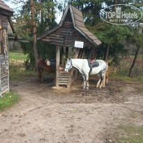 фото из отзыва ID 2743442