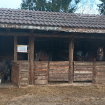 фото из отзыва ID 2743442