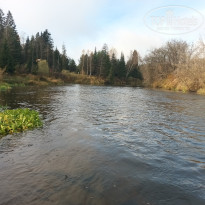 фото из отзыва ID 2743442