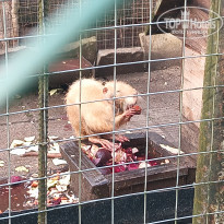 фото из отзыва ID 2743442