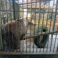 фото из отзыва ID 2743442