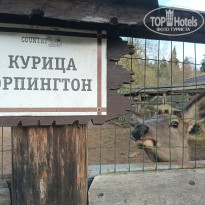 фото из отзыва ID 2743442