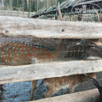 фото из отзыва ID 2743442