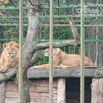 фото из отзыва ID 2743442