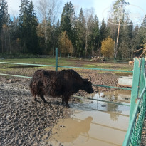 фото из отзыва ID 2743442