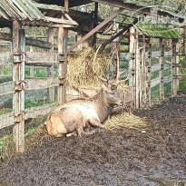 фото из отзыва ID 2743442