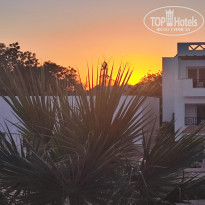 фото из отзыва ID 2743520