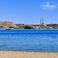 фото из отзыва ID 2743520