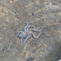 фото из отзыва ID 2743538