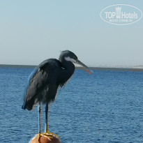 фото из отзыва ID 2743540