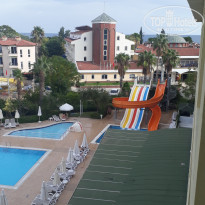 фото из отзыва ID 2743541