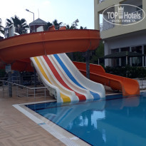 фото из отзыва ID 2743541