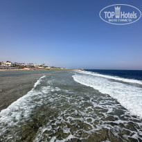 фото из отзыва ID 2743549