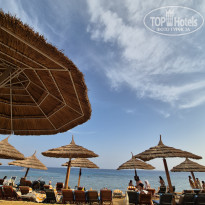 фото из отзыва ID 2743563