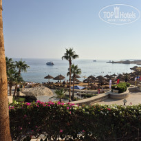 фото из отзыва ID 2743563