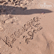 фото из отзыва ID 2743567