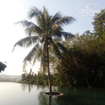 фото из отзыва ID 2743568