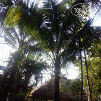 фото из отзыва ID 2743568