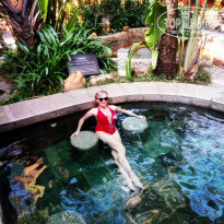 фото из отзыва ID 2743568